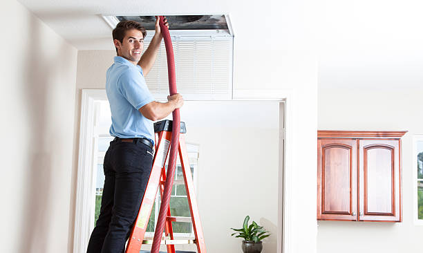 Air Duct Mold Removal